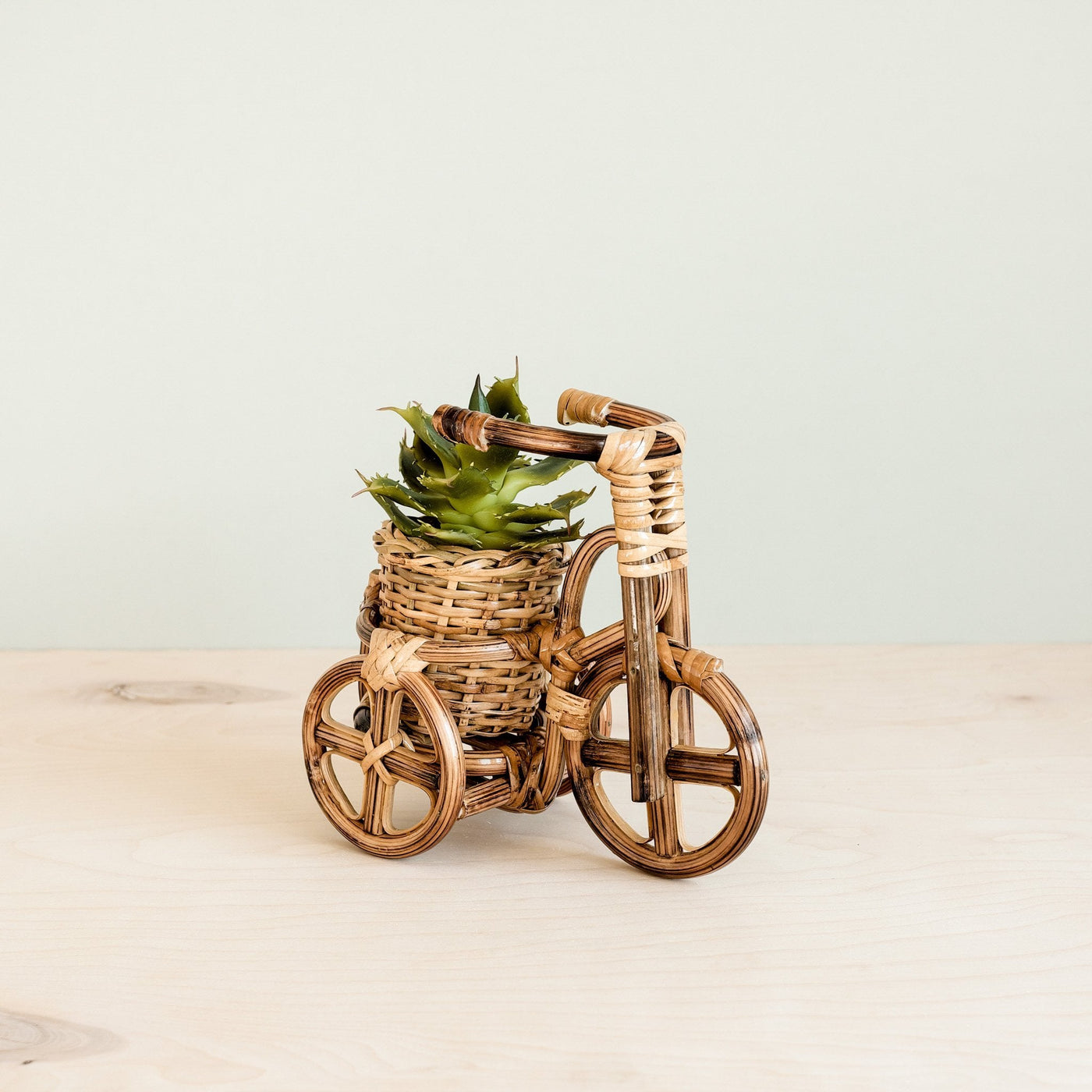 Bicycle Rattan Planter, small - Handmade Planters | LIKHÂ by LIKHÂ