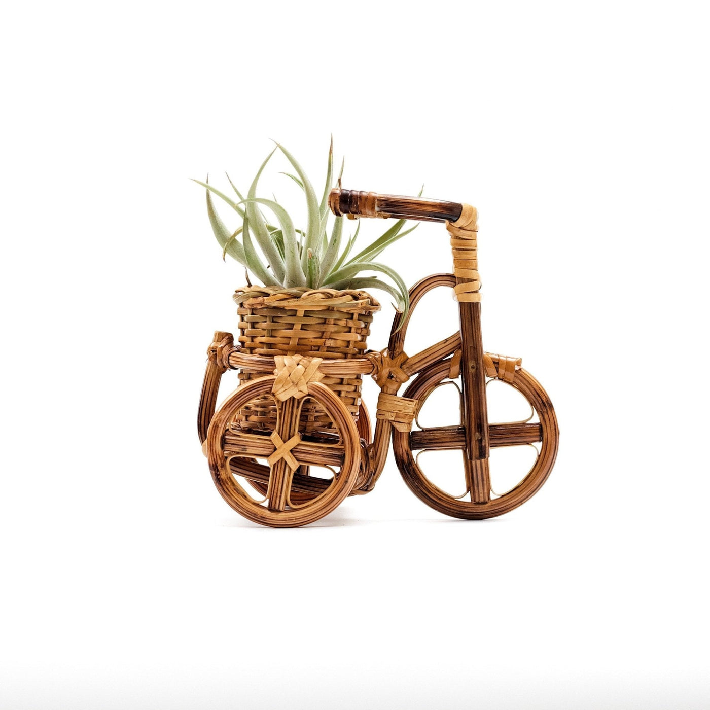 Bicycle Rattan Planter, small - Handmade Planters | LIKHÂ by LIKHÂ