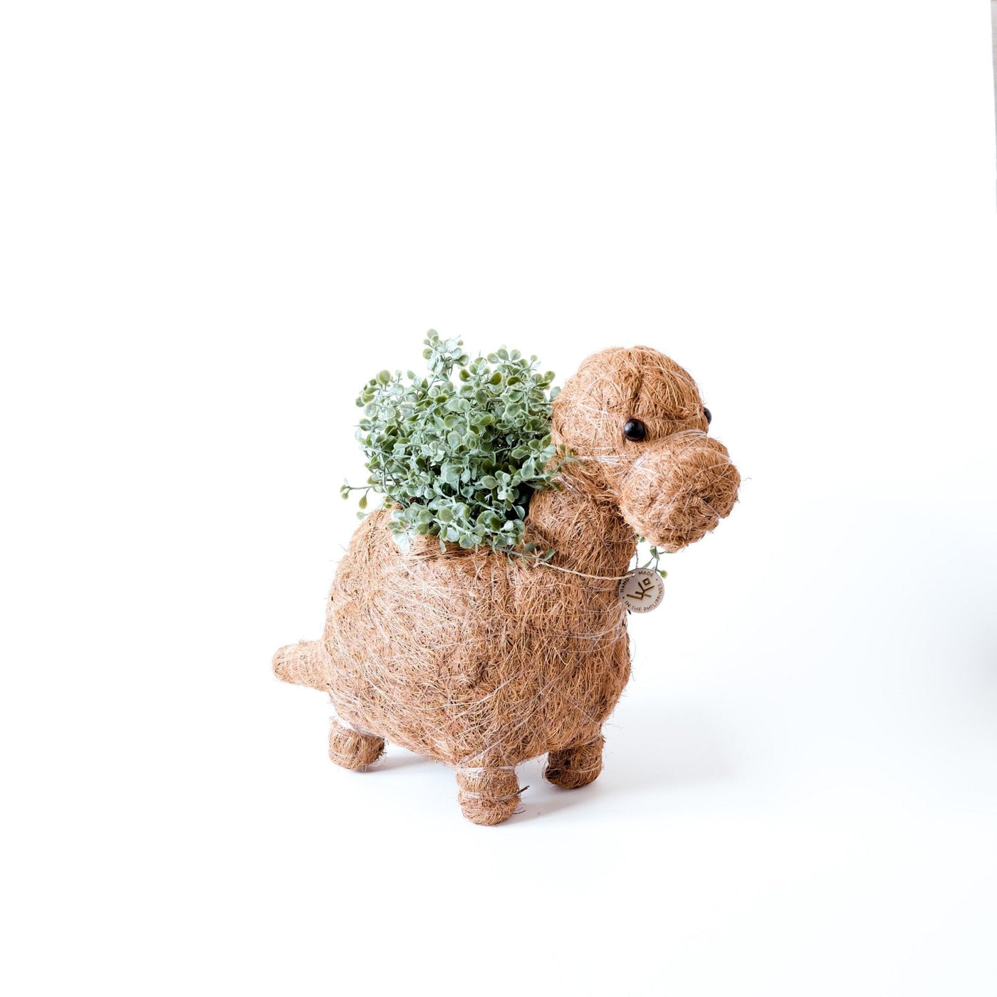 Brontosaurus Planter - Coco Coir Pots | LIKHÂ by LIKHÂ