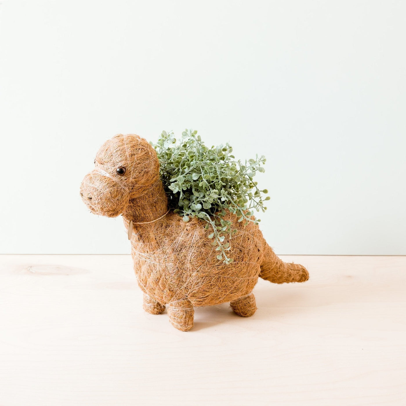 Brontosaurus Planter - Coco Coir Pots | LIKHÂ by LIKHÂ