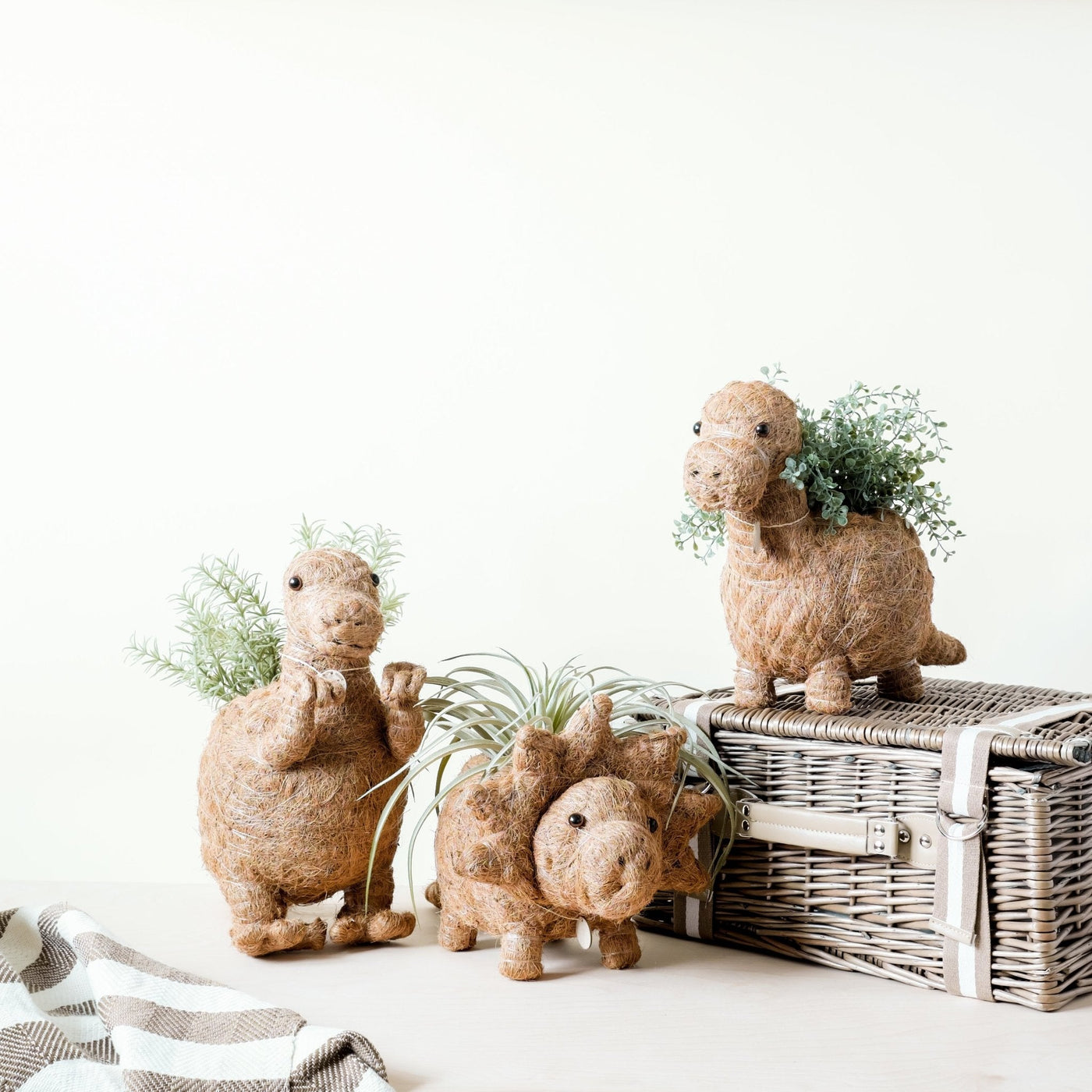 Brontosaurus Planter - Coco Coir Pots | LIKHÂ by LIKHÂ