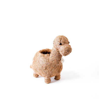 Brontosaurus Planter - Coco Coir Pots | LIKHÂ by LIKHÂ