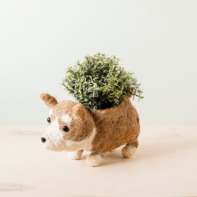 Corgi Succulent Pot - Handmade Planters | LIKHÂ by LIKHÂ