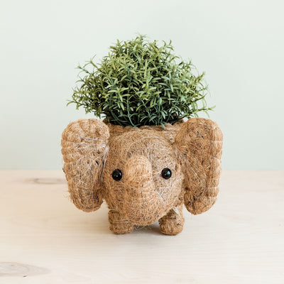 Elephant Plant Pot - Handmade Planter | LIKHÂ by LIKHÂ