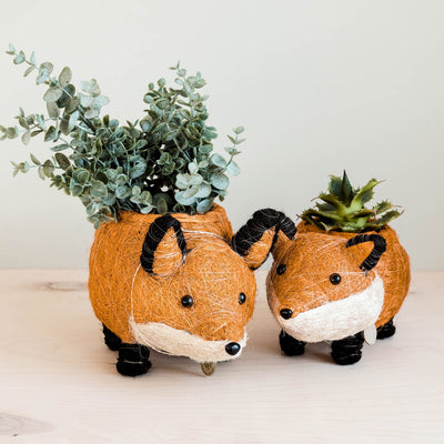 Fox Planter - Coir Planters | LIKHÂ by LIKHÂ