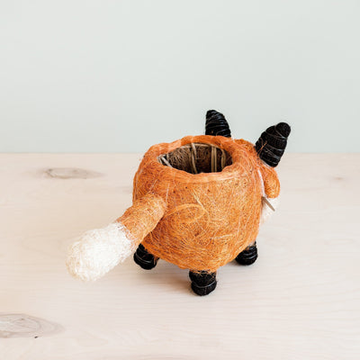 Fox Planter - Coir Planters | LIKHÂ by LIKHÂ