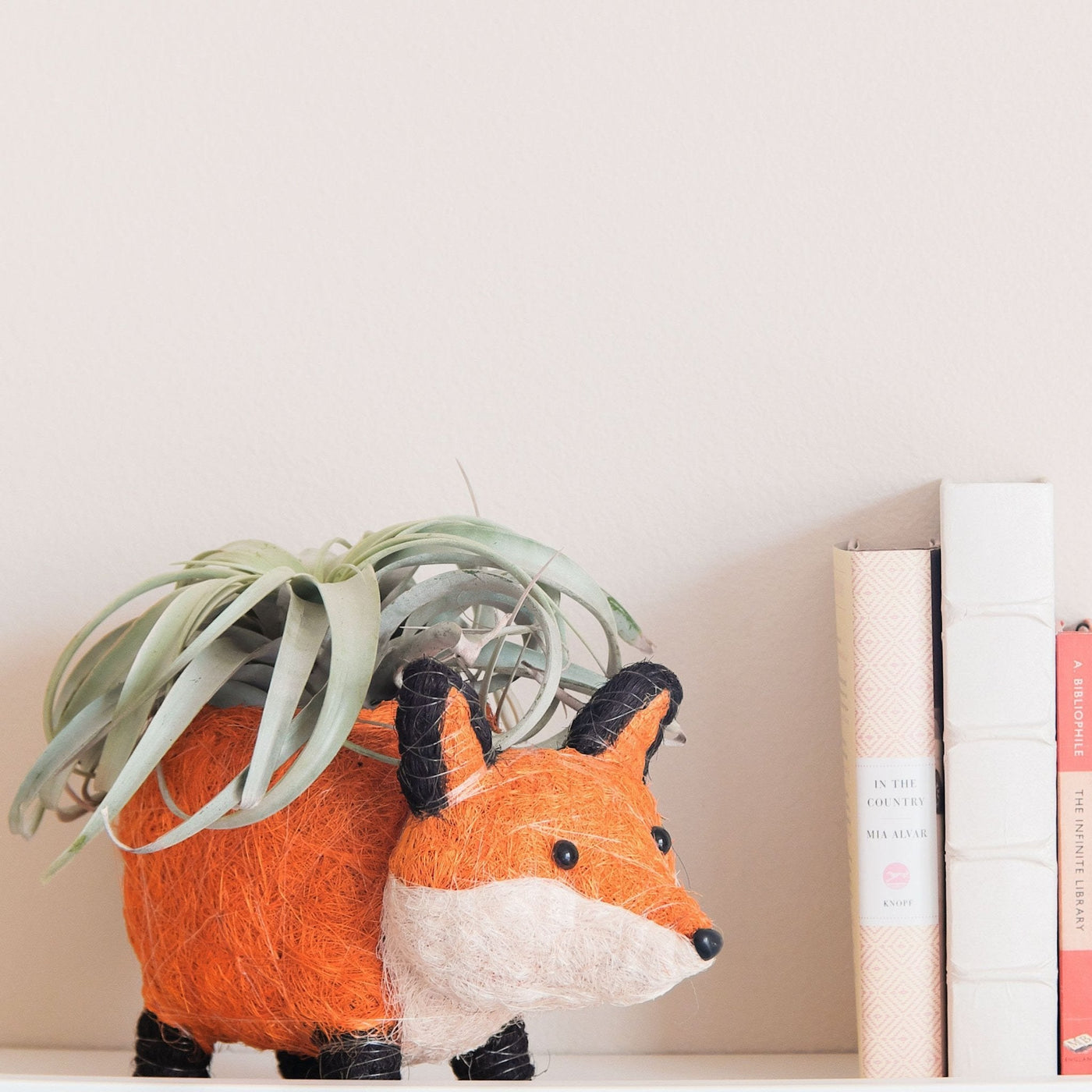 Fox Planter - Coir Planters | LIKHÂ by LIKHÂ