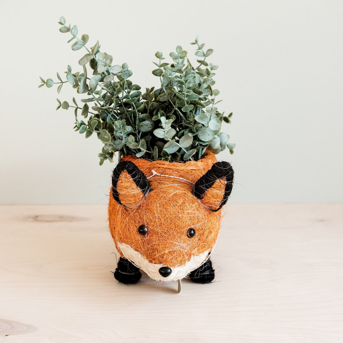 Fox Planter - Coir Planters | LIKHÂ by LIKHÂ