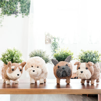 French Bulldog Planter - Coco Coir Pots | LIKHÂ by LIKHÂ