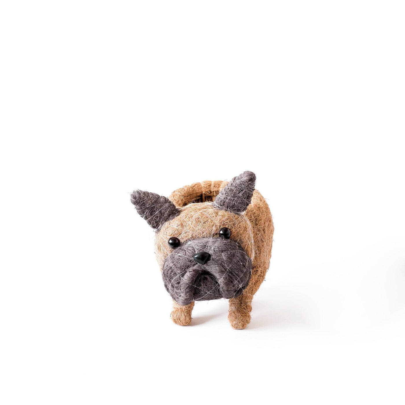 French Bulldog Planter - Coco Coir Pots | LIKHÂ by LIKHÂ