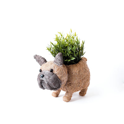 French Bulldog Planter - Coco Coir Pots | LIKHÂ by LIKHÂ