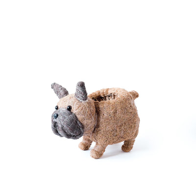 French Bulldog Planter - Coco Coir Pots | LIKHÂ by LIKHÂ