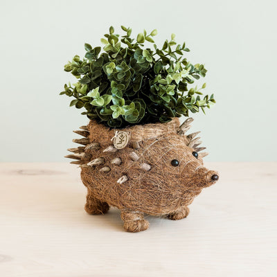 Hedgehog Planter - Coco Planter| LIKHÂ by LIKHÂ