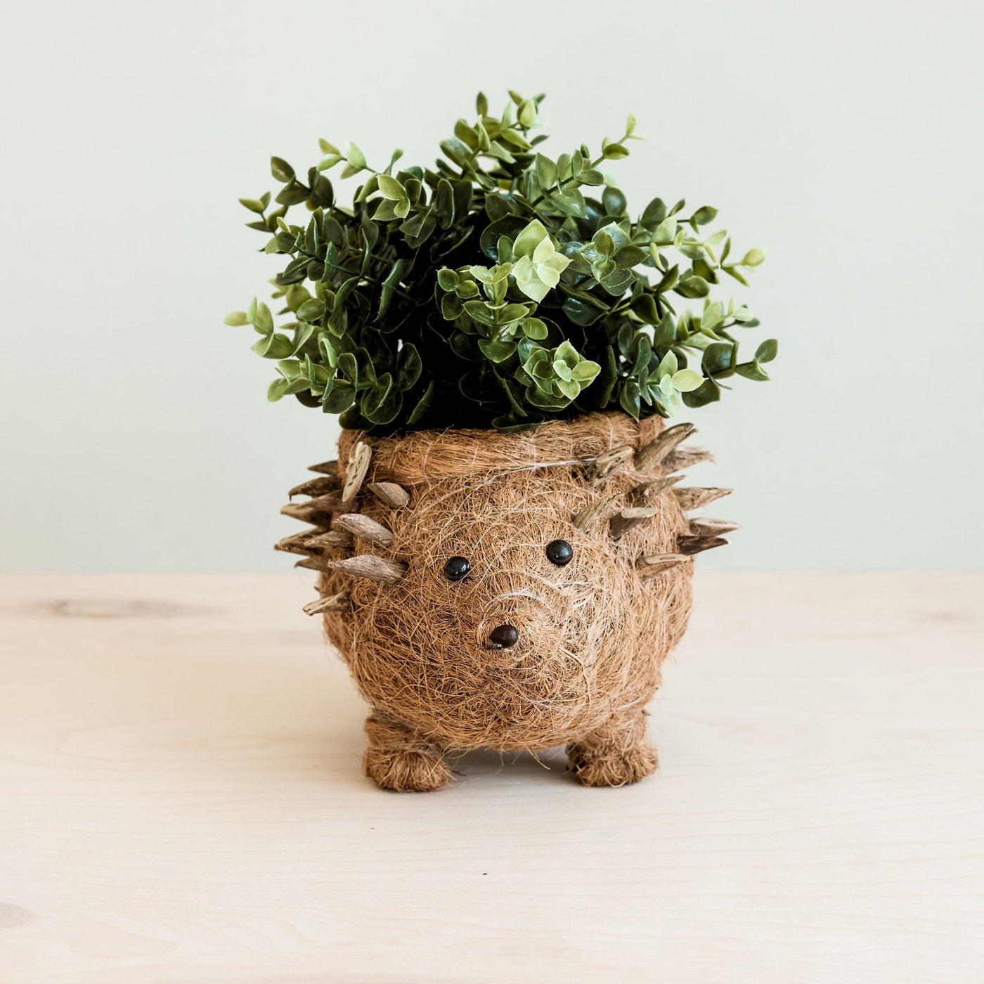 Hedgehog Planter - Coco Planter| LIKHÂ by LIKHÂ