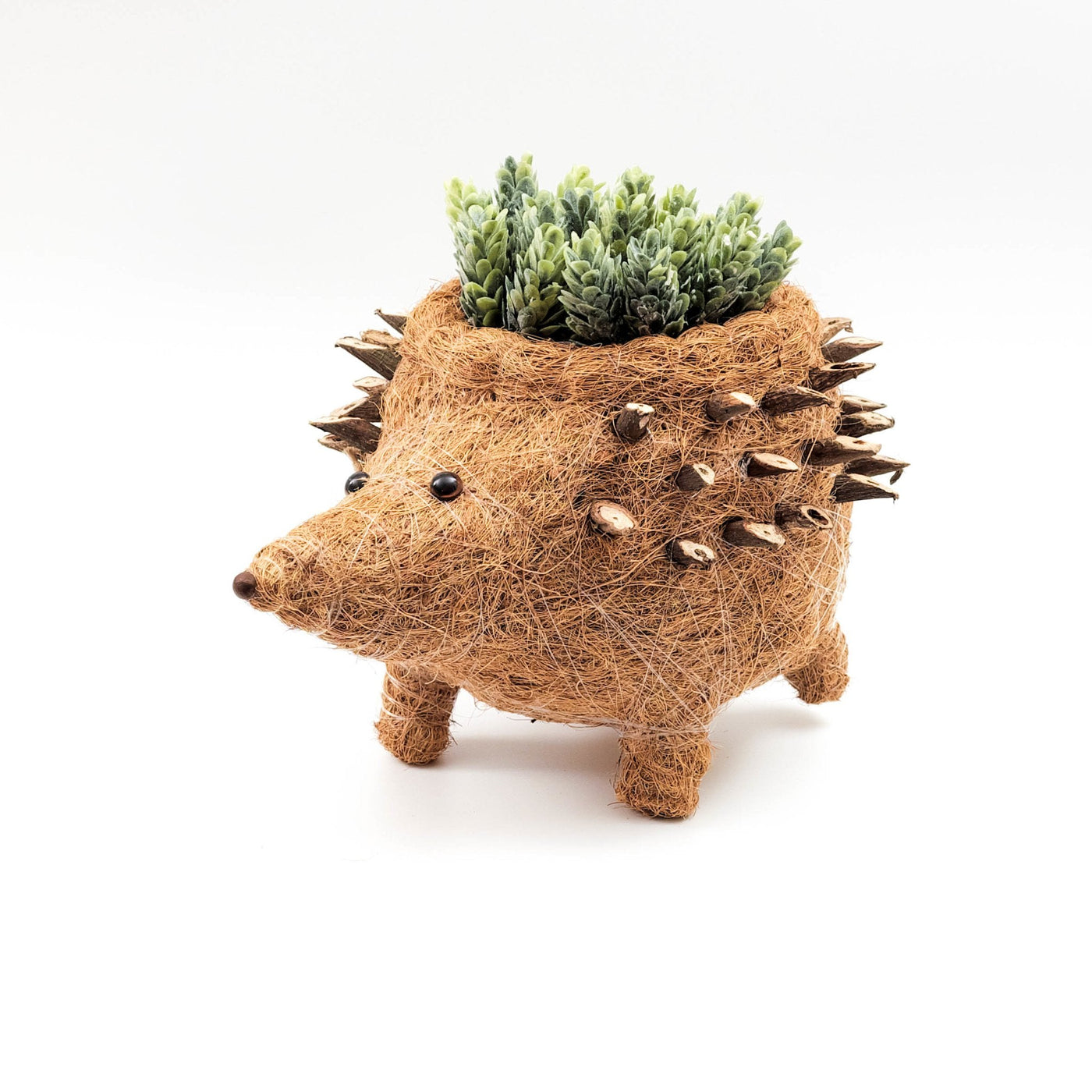 Hedgehog Planter - Coco Planter| LIKHÂ by LIKHÂ