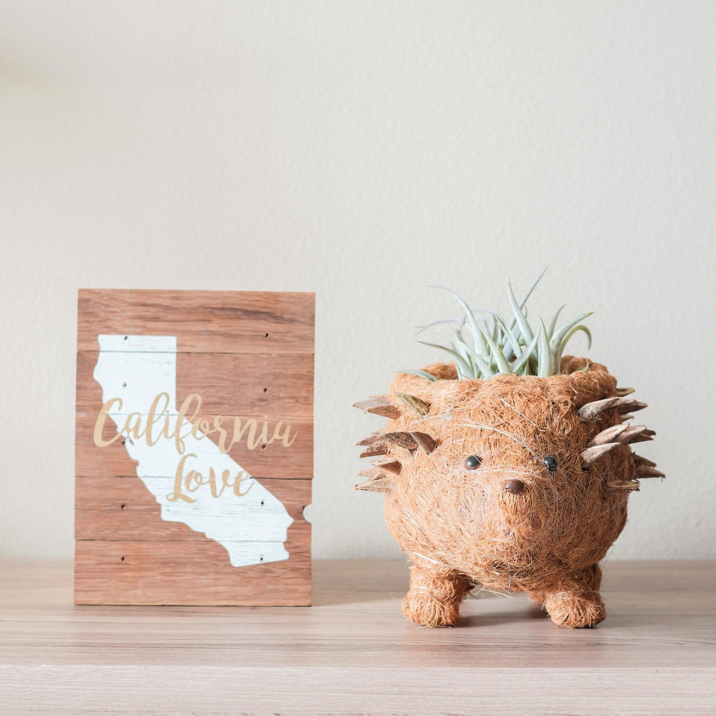 Hedgehog Planter - Coco Planter| LIKHÂ by LIKHÂ