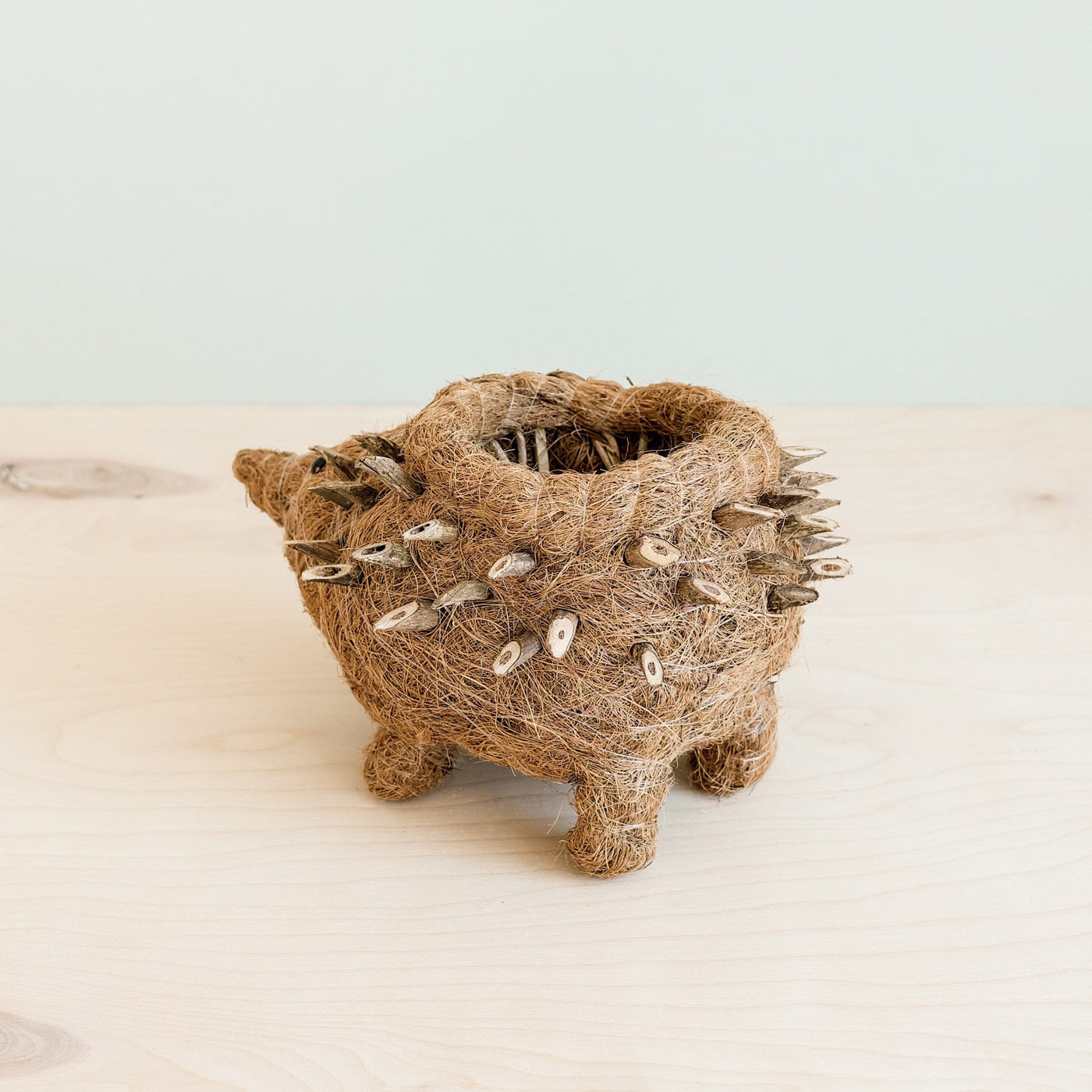 Hedgehog Planter - Coco Planter| LIKHÂ by LIKHÂ