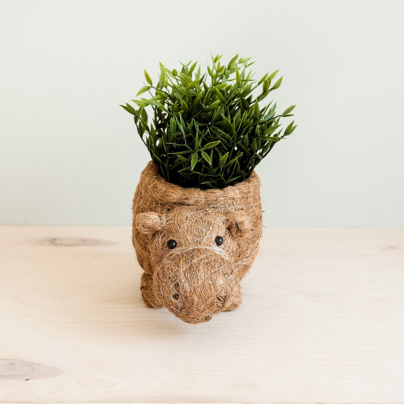 Hippo Planter - Coco Planter | LIKHÂ by LIKHÂ