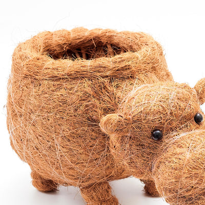 Hippo Planter - Coco Planter | LIKHÂ by LIKHÂ