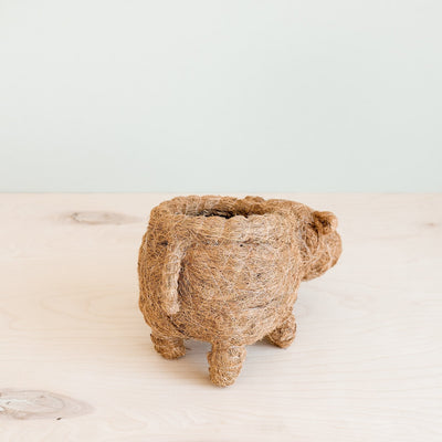 Hippo Planter - Coco Planter | LIKHÂ by LIKHÂ