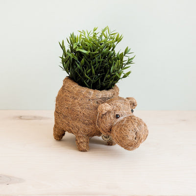 Hippo Planter - Coco Planter | LIKHÂ by LIKHÂ