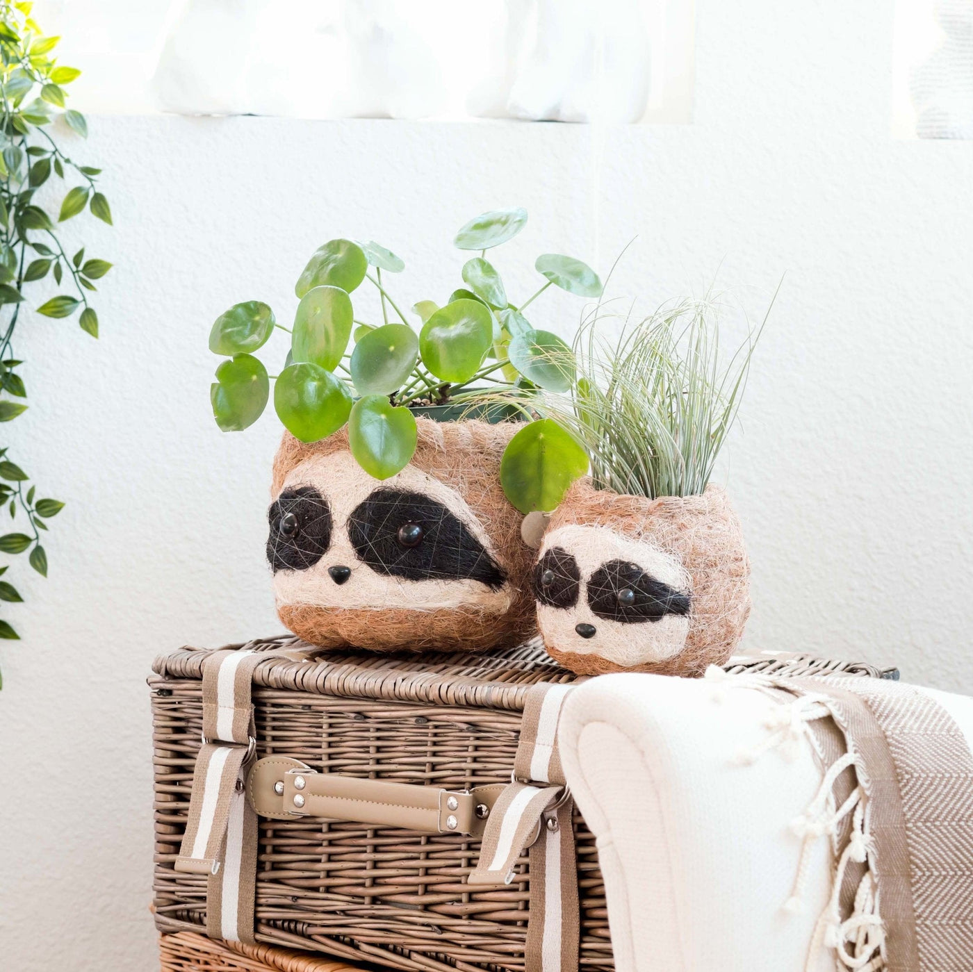 Large three-tone Sloth - Coco Coir Pots (6 inch) | LIKHÂ by LIKHÂ