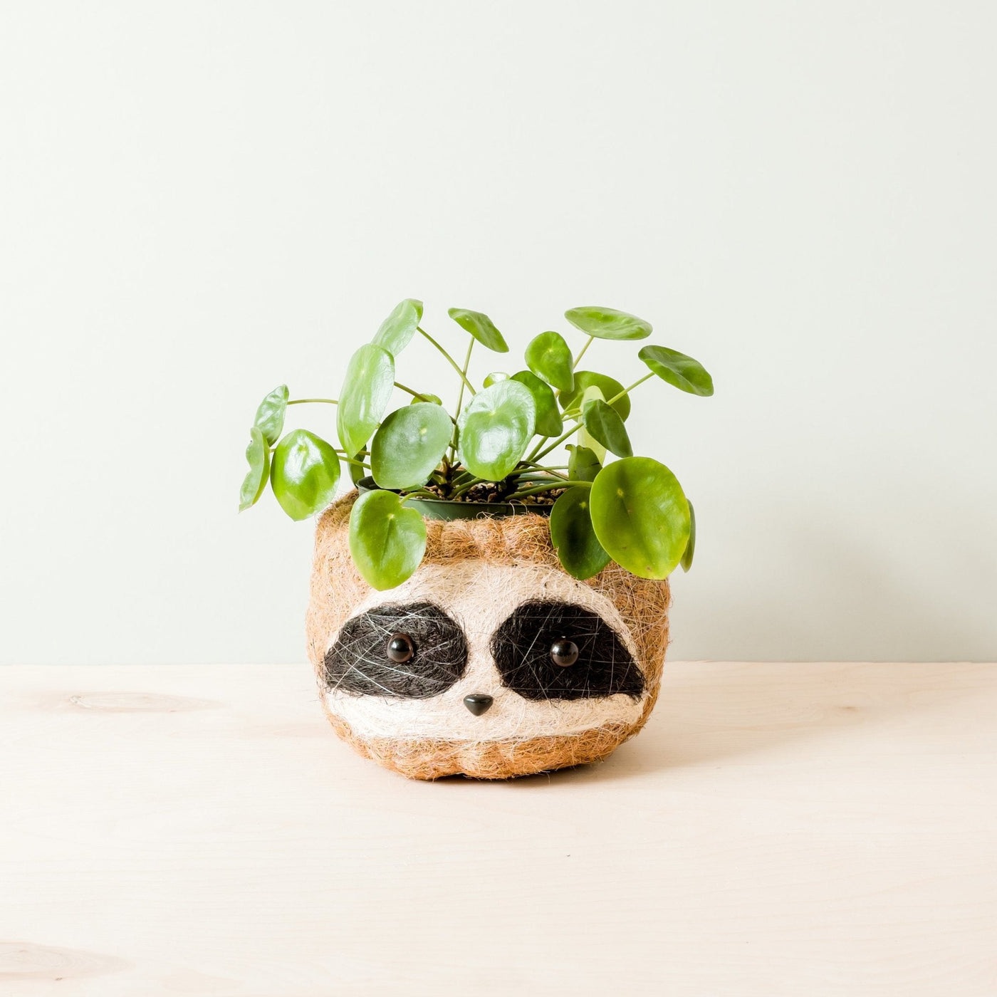 Large three-tone Sloth - Coco Coir Pots (6 inch) | LIKHÂ by LIKHÂ