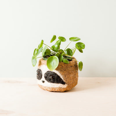 Large three-tone Sloth - Coco Coir Pots (6 inch) | LIKHÂ by LIKHÂ