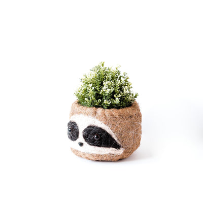 Large three-tone Sloth - Coco Coir Pots (6 inch) | LIKHÂ by LIKHÂ