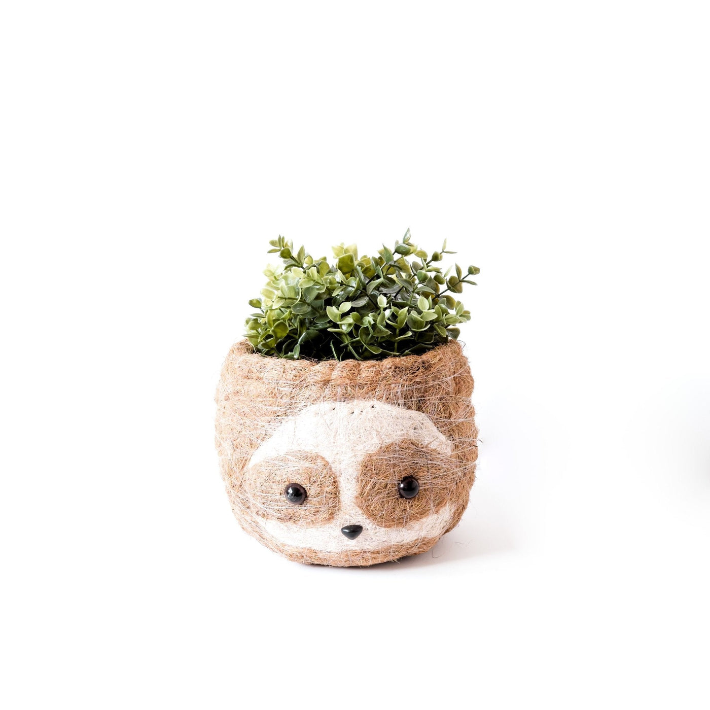 Large two-tone Sloth - Coco Coir Pots (6 inch) | LIKHÂ by LIKHÂ