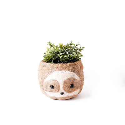 Large two-tone Sloth - Coco Coir Pots (6 inch) | LIKHÂ by LIKHÂ