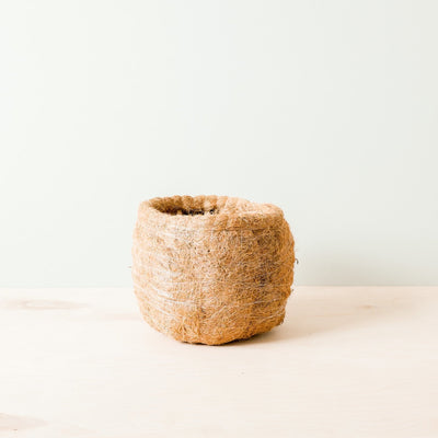 Large two-tone Sloth - Coco Coir Pots (6 inch) | LIKHÂ by LIKHÂ