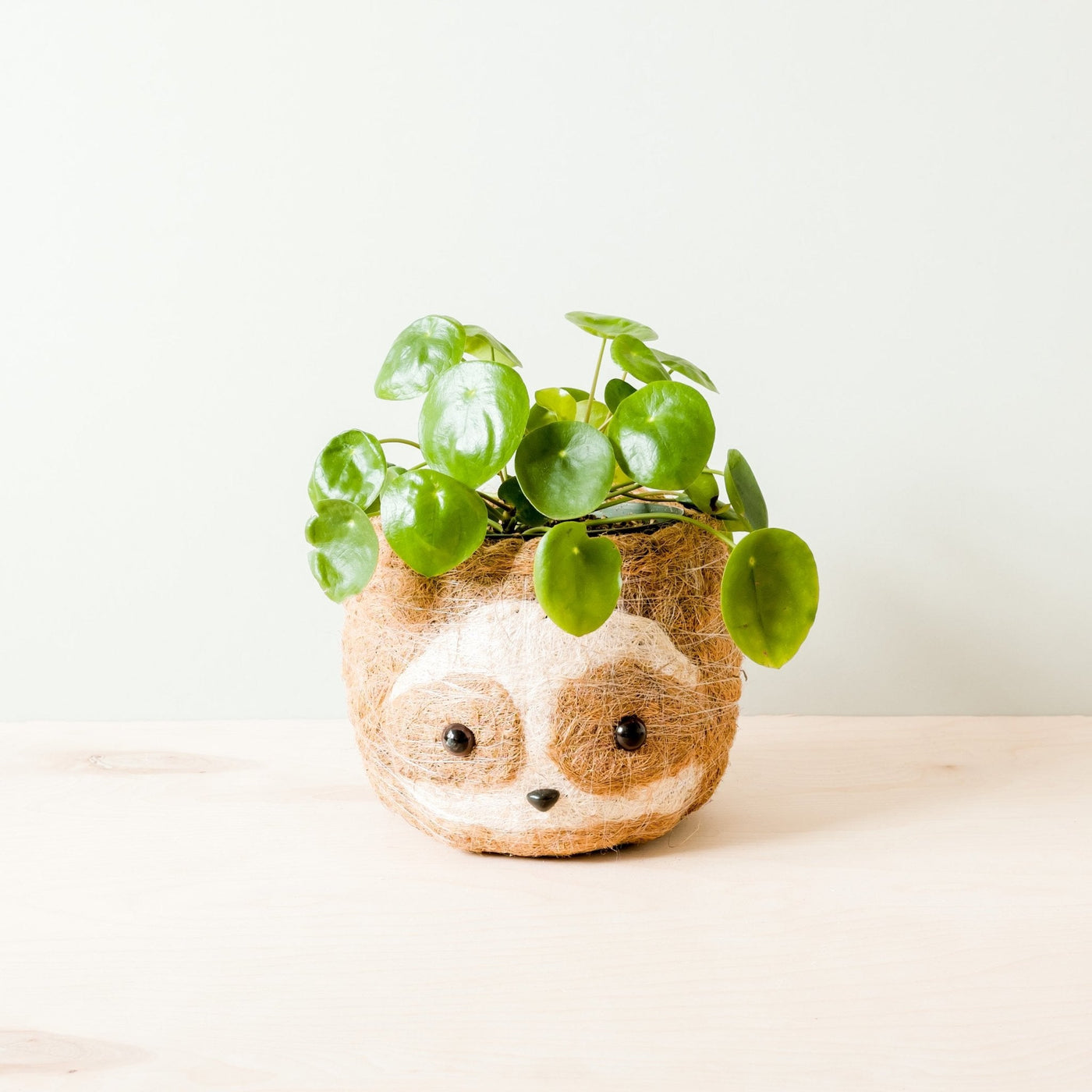 Large two-tone Sloth - Coco Coir Pots (6 inch) | LIKHÂ by LIKHÂ