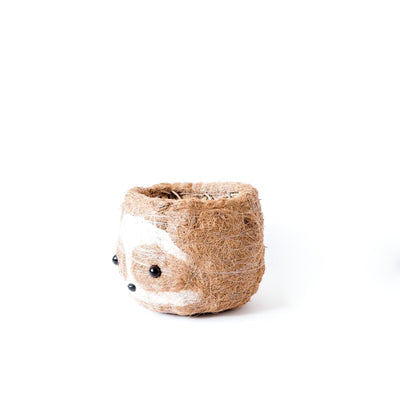 Large two-tone Sloth - Coco Coir Pots (6 inch) | LIKHÂ by LIKHÂ