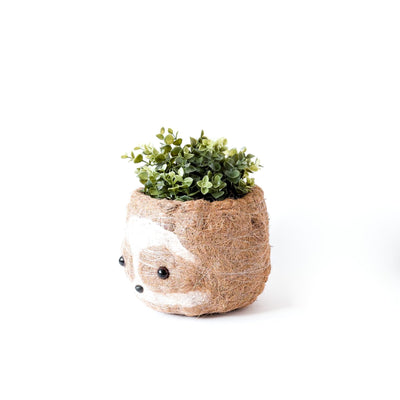 Large two-tone Sloth - Coco Coir Pots (6 inch) | LIKHÂ by LIKHÂ