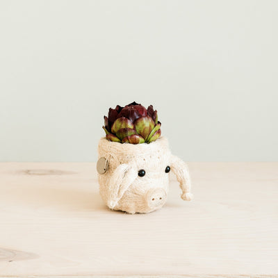 Pig Plant Pot - Animal Head Plant Pot | LIKHÂ by LIKHÂ