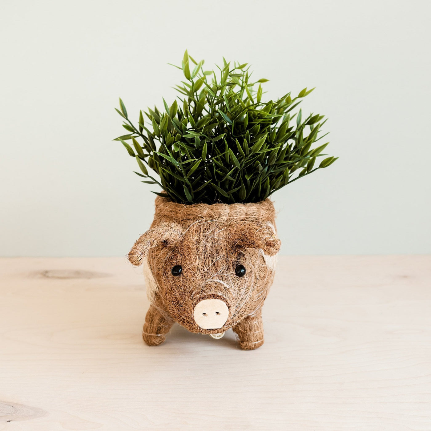 Pig Planter - Coco Coir Pots| LIKHÂ by LIKHÂ