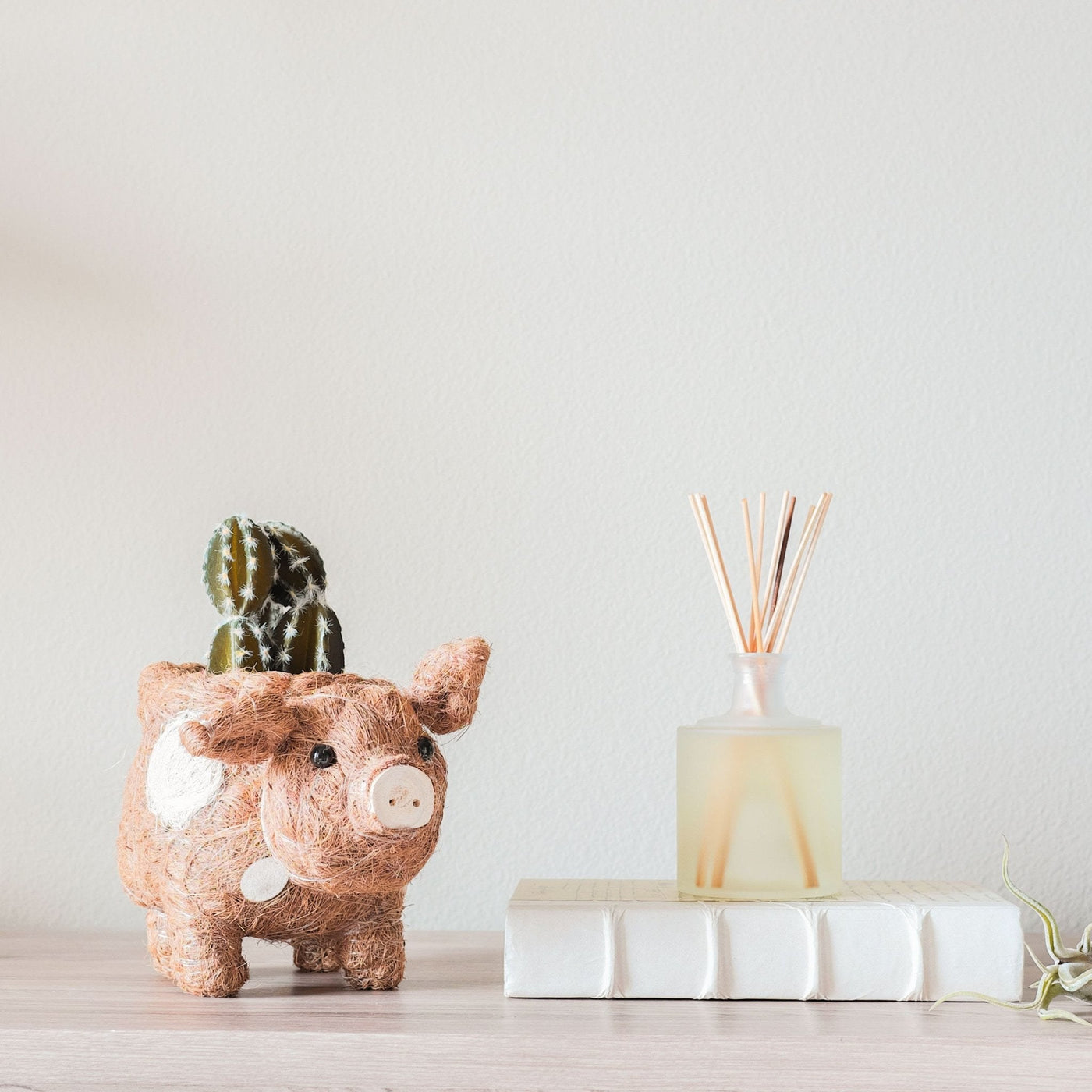 Pig Planter - Coco Coir Pots| LIKHÂ by LIKHÂ