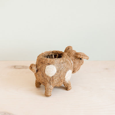 Pig Planter - Coco Coir Pots| LIKHÂ by LIKHÂ