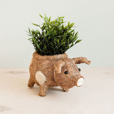 Pig Planter - Coco Coir Pots| LIKHÂ by LIKHÂ