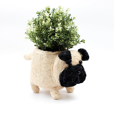 Pug Planter - Coco Coir Pots | LIKHÂ by LIKHÂ