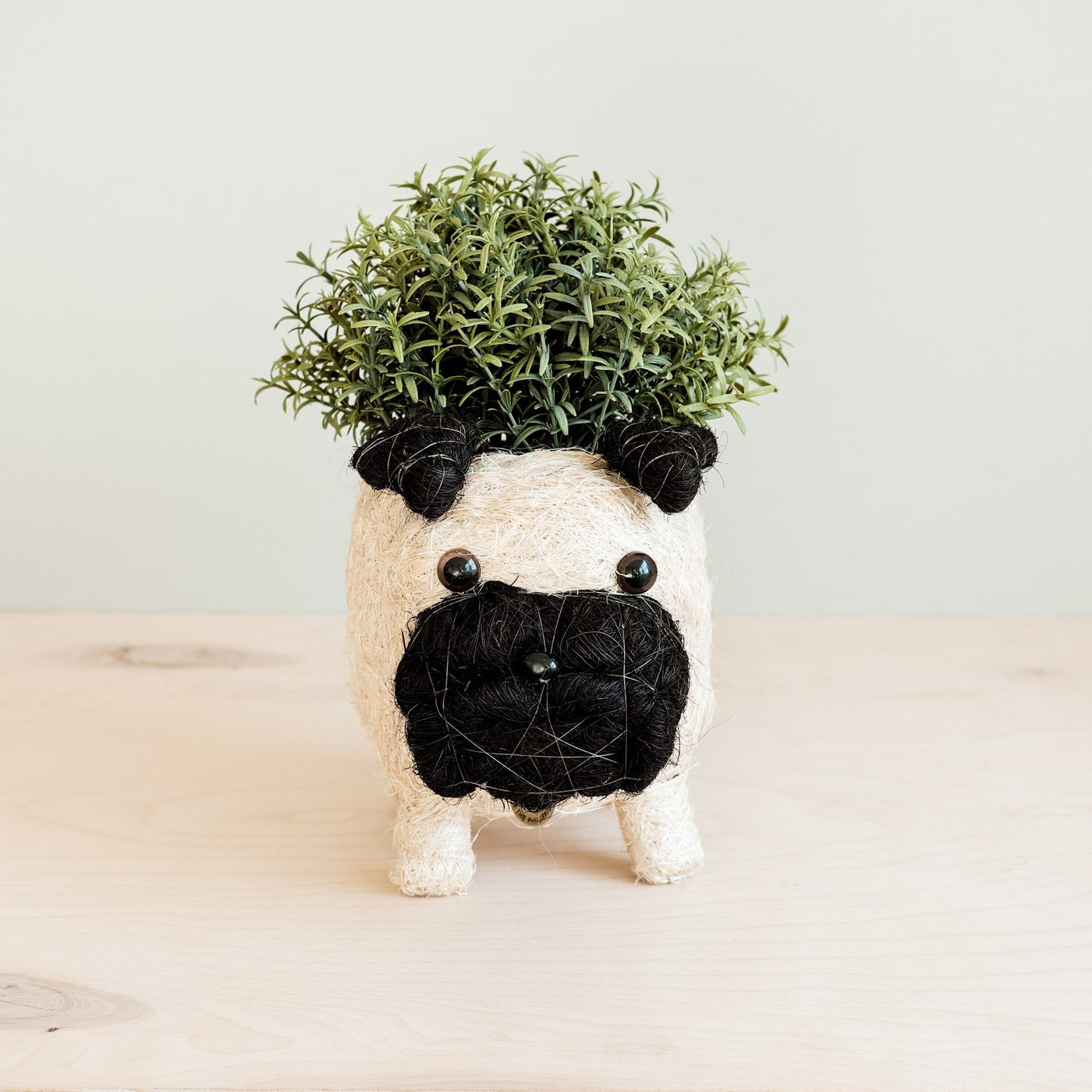 Pug Planter - Coco Coir Pots | LIKHÂ by LIKHÂ