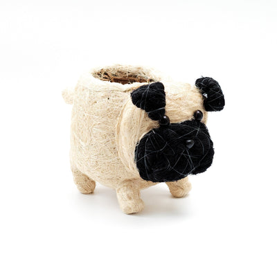 Pug Planter - Coco Coir Pots | LIKHÂ by LIKHÂ