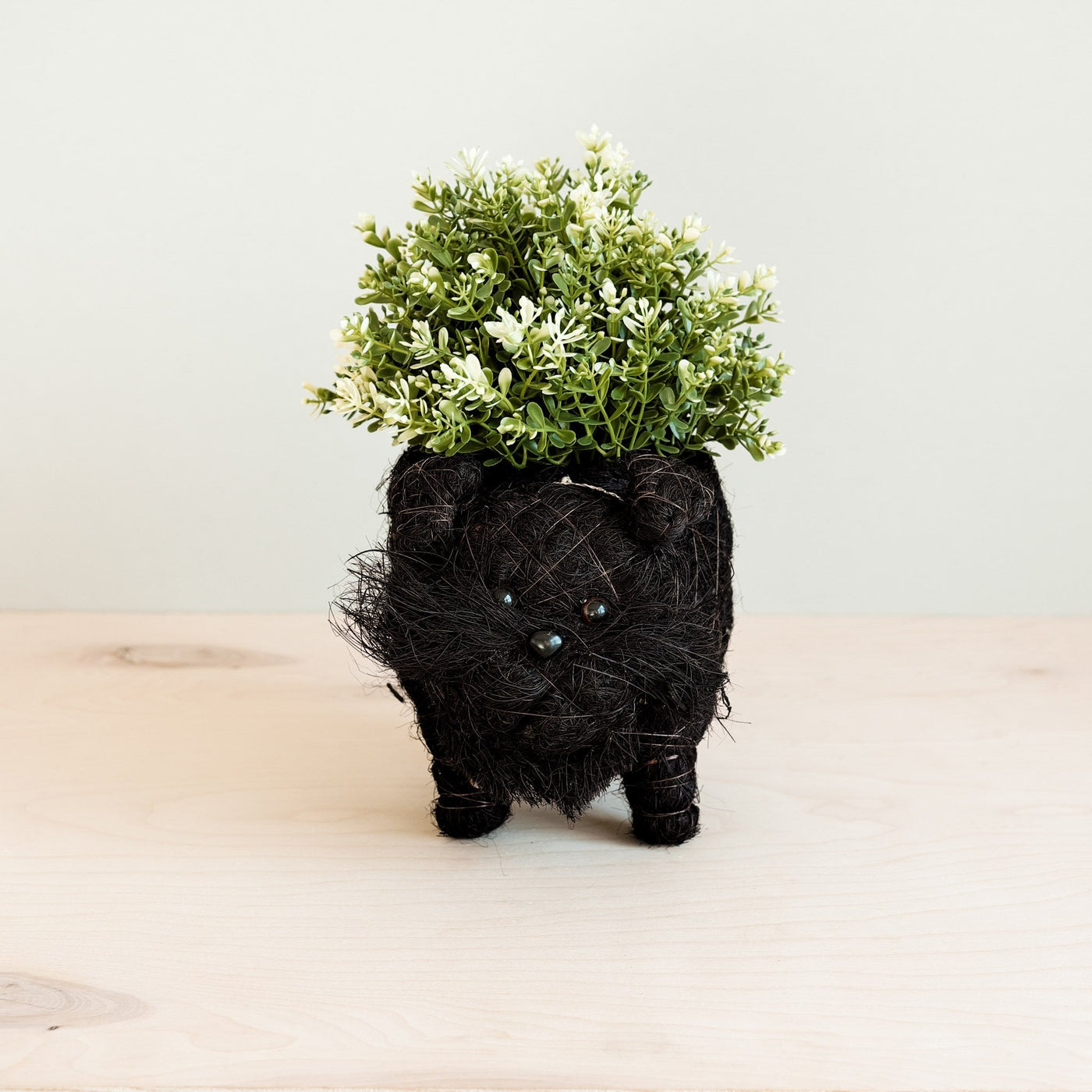 Schnauzer Planter - Coco Coir Pots | LIKHÂ by LIKHÂ