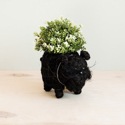 Schnauzer Planter - Coco Coir Pots | LIKHÂ by LIKHÂ