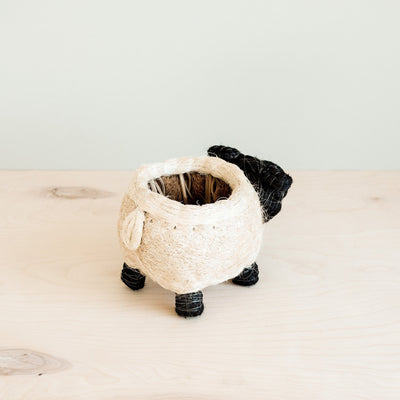 Sheep Planter - Coco Coir Pots | LIKHÂ by LIKHÂ