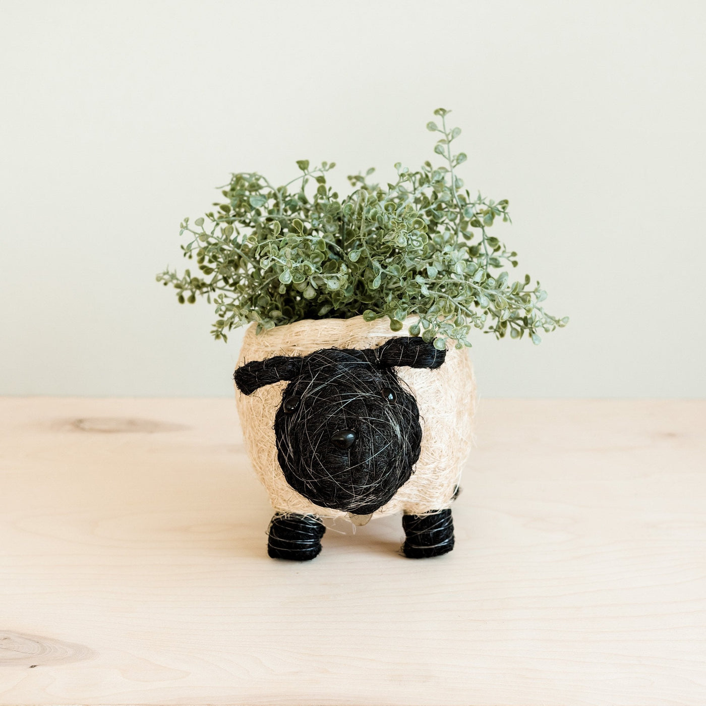 Sheep Planter - Coco Coir Pots | LIKHÂ by LIKHÂ