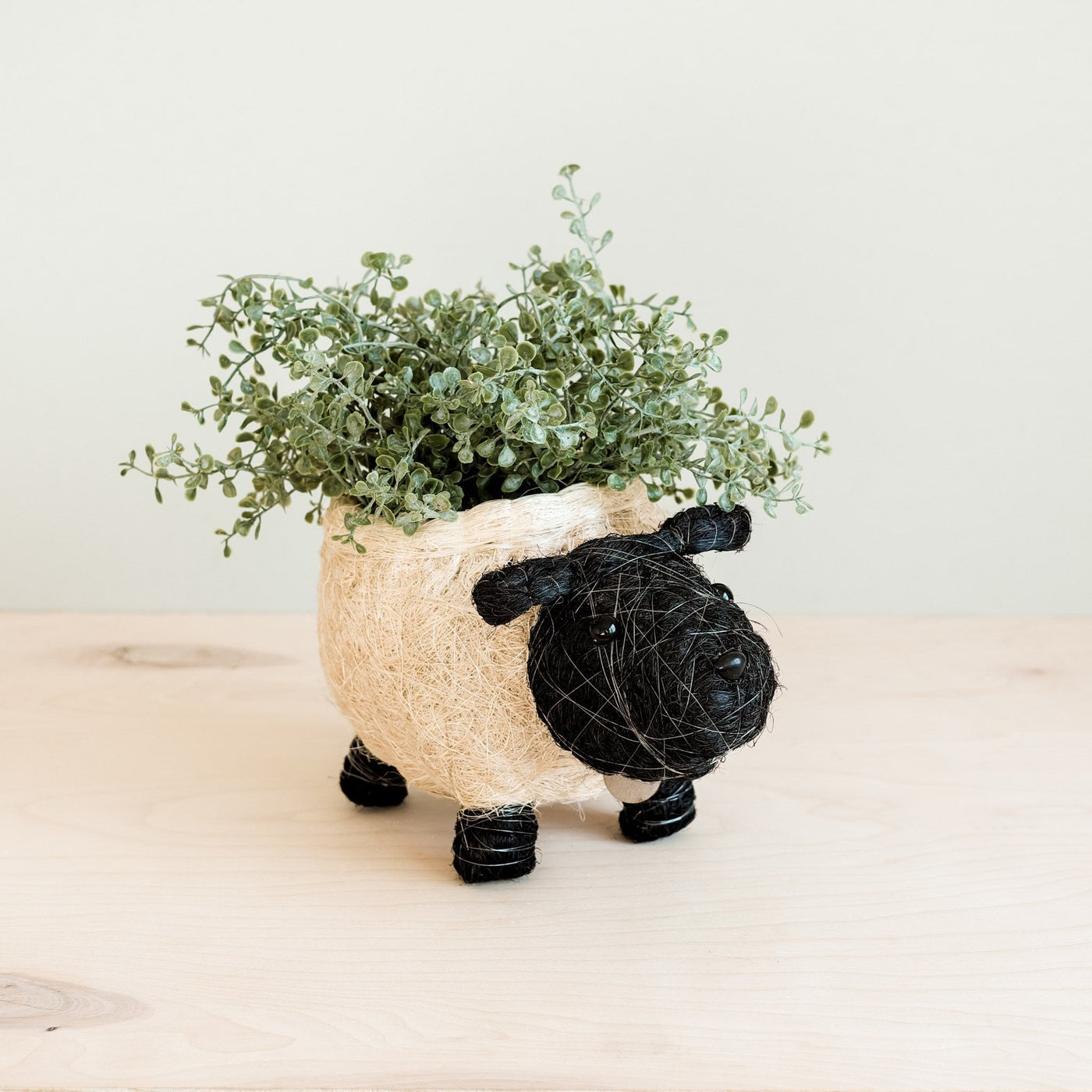 Sheep Planter - Coco Coir Pots | LIKHÂ by LIKHÂ