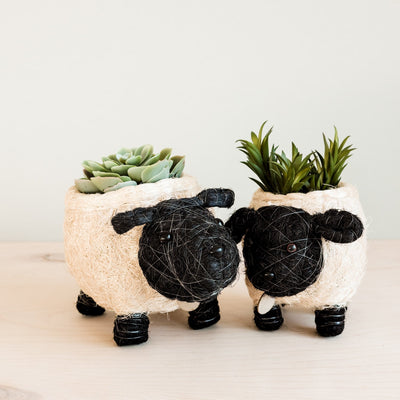 Sheep Planter - Coco Coir Pots | LIKHÂ by LIKHÂ