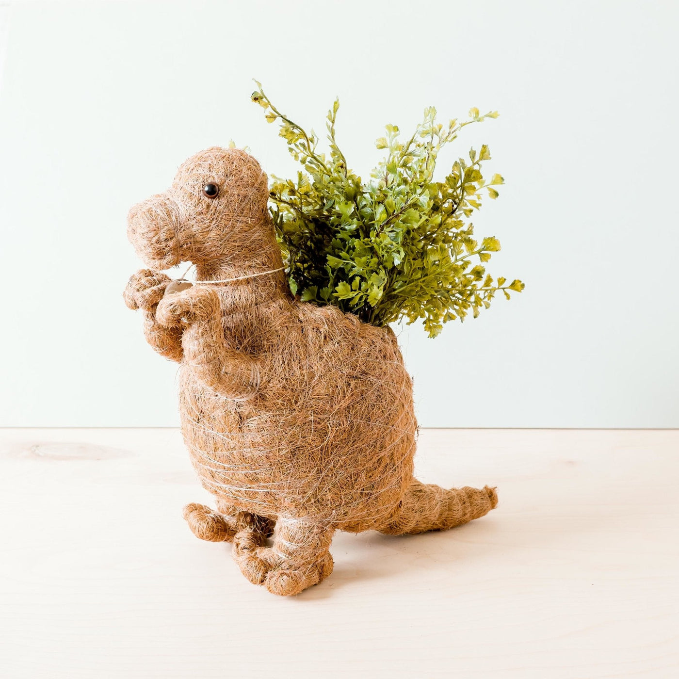 T-Rex Planter - Coco Coir Pots | LIKHÂ by LIKHÂ